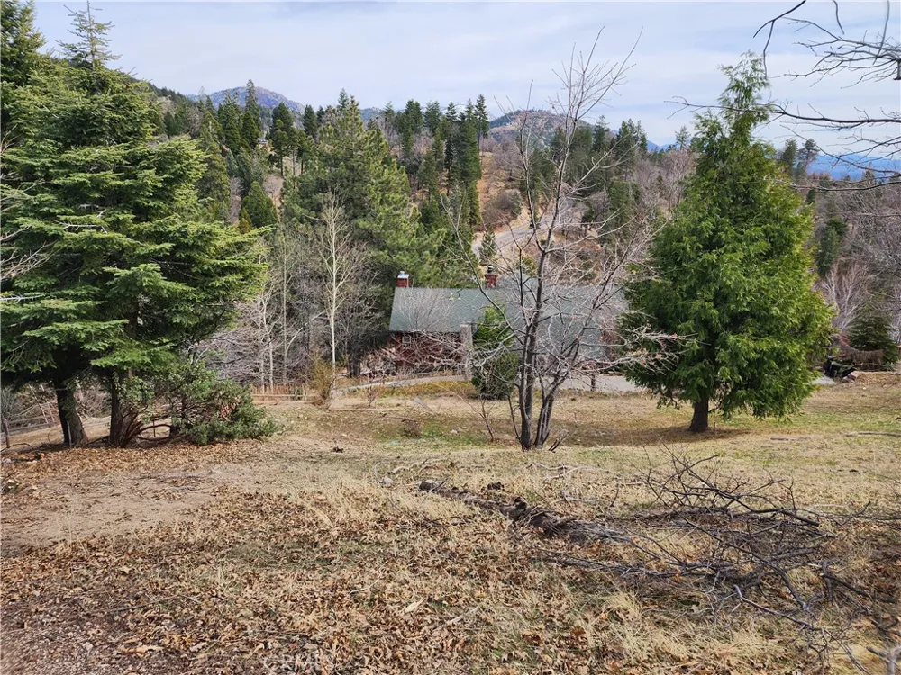 30914 Old City Creek Road Running Springs, CA 92382