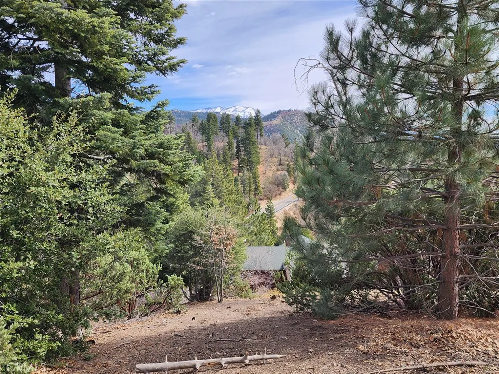30914 Old City Creek Road Running Springs, CA 92382