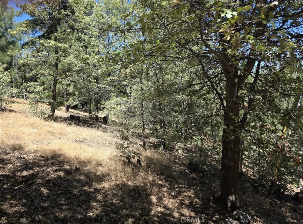 28276 Arbon Lake Arrowhead, CA 92352