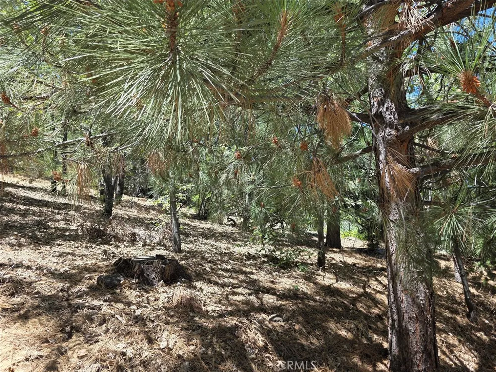 28276 Arbon Lake Arrowhead, CA 92352