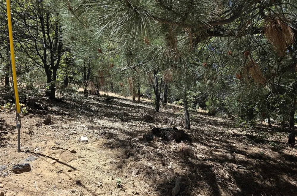 28276 Arbon Lake Arrowhead, CA 92352