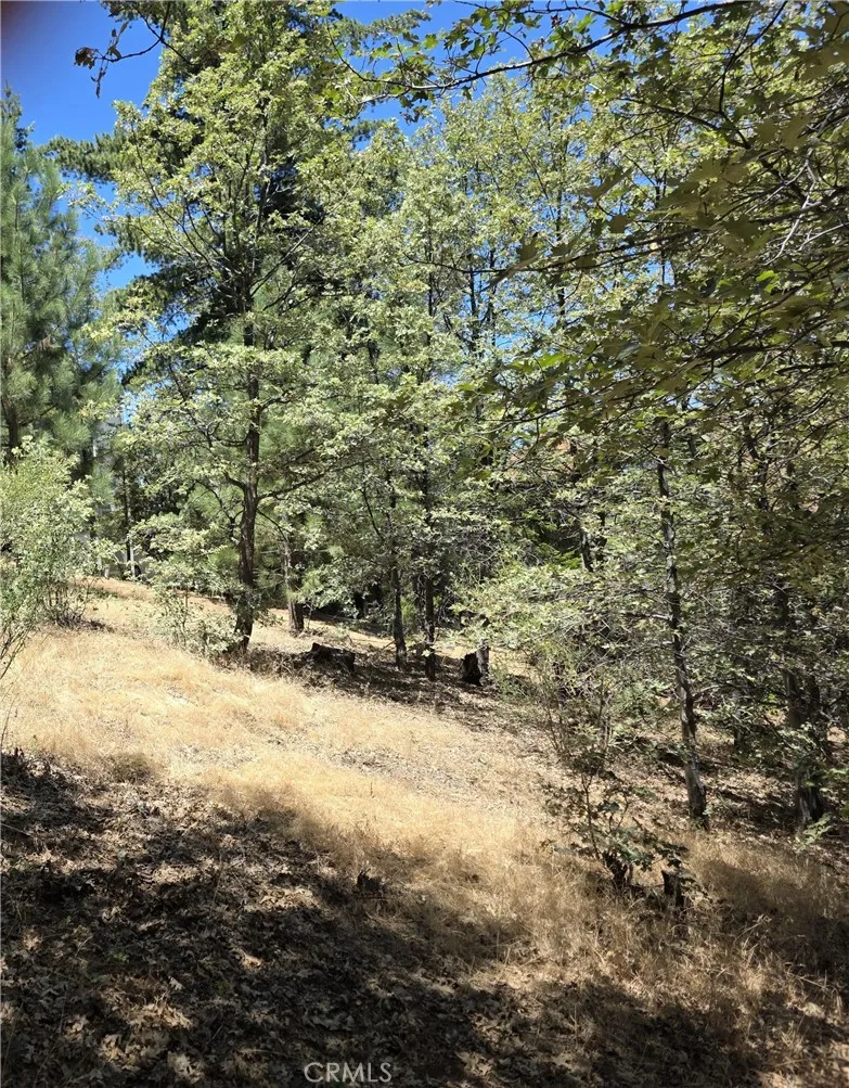 28276 Arbon Lake Arrowhead, CA 92352