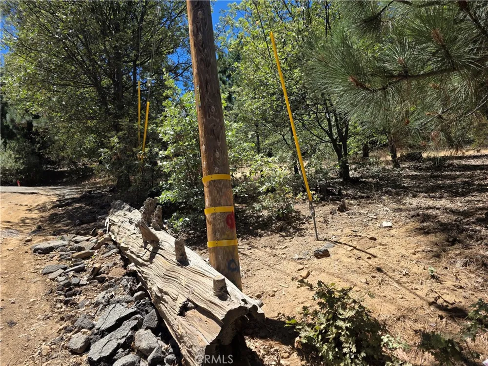 28276 Arbon Lake Arrowhead, CA 92352