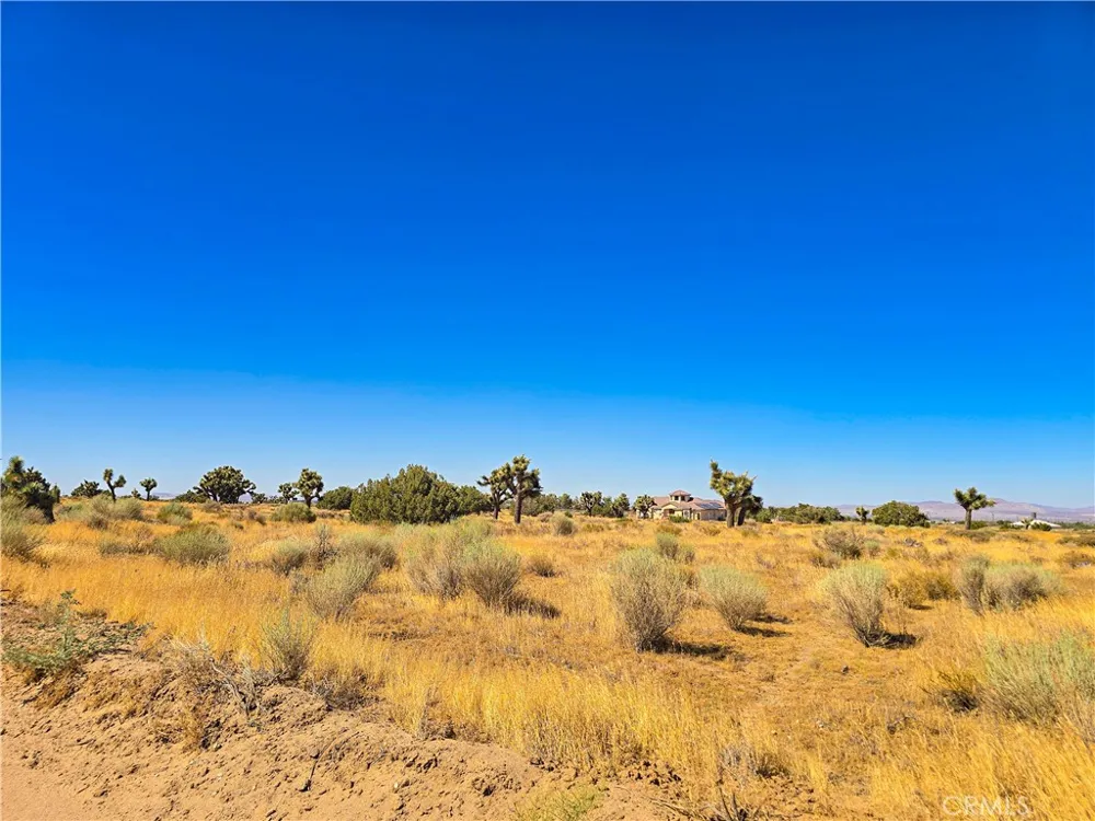 Vinton Phelan, CA 92371