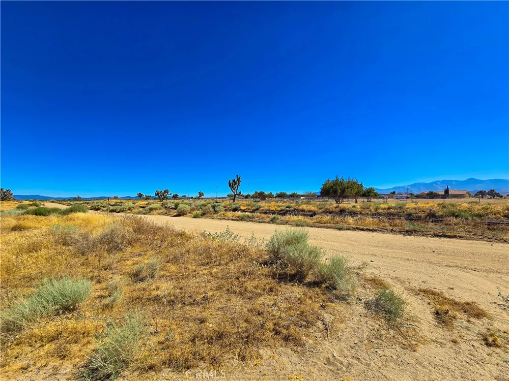 Vinton Phelan, CA 92371