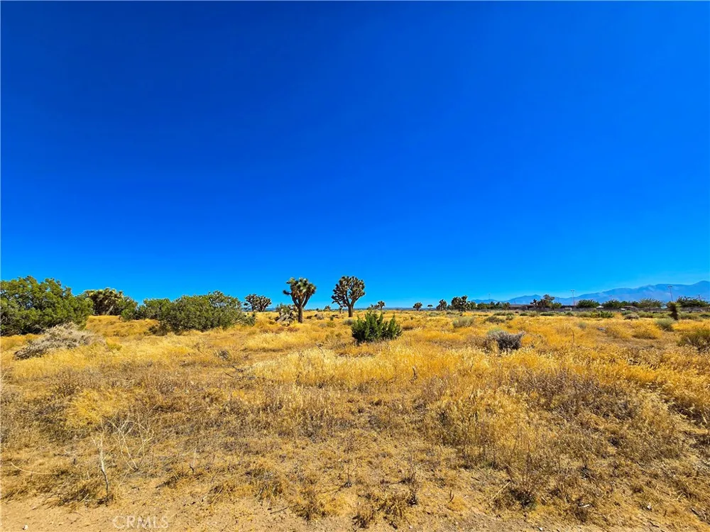 Vinton Phelan, CA 92371
