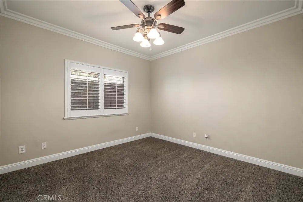 31028 Emperor Drive Canyon Lake, CA 92587