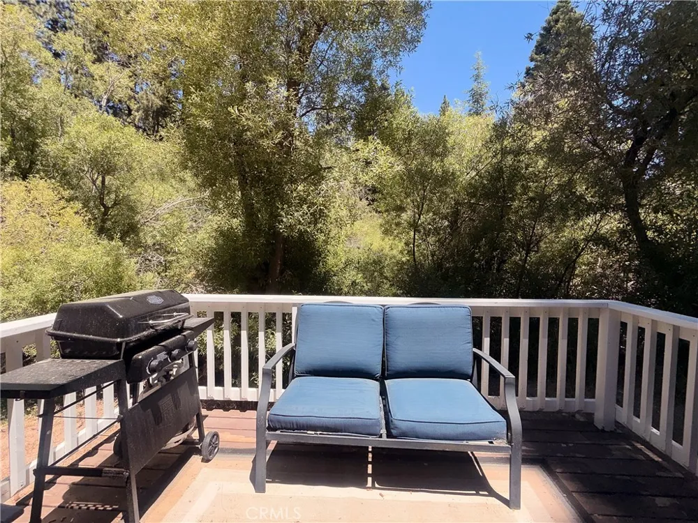 33492 Wild Rose Green Valley Lake, CA 92341
