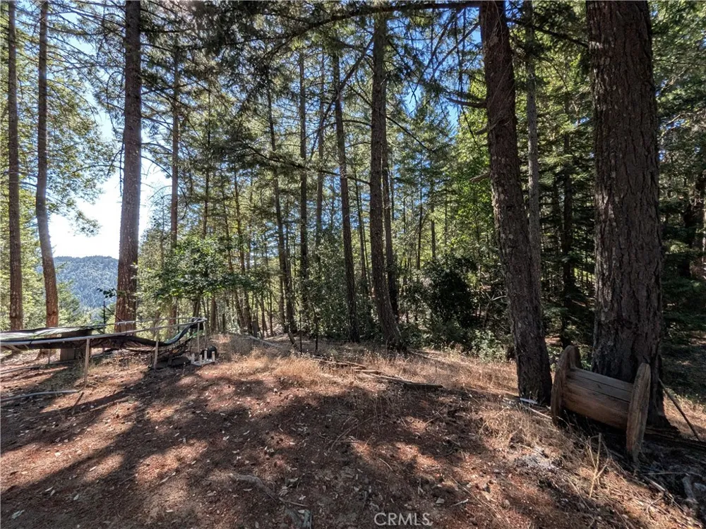 3955 Blackhawk Willits, CA 95490