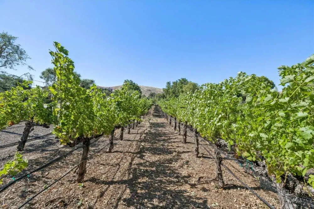 1295 Lions Peak Lane San Martin, CA 95046