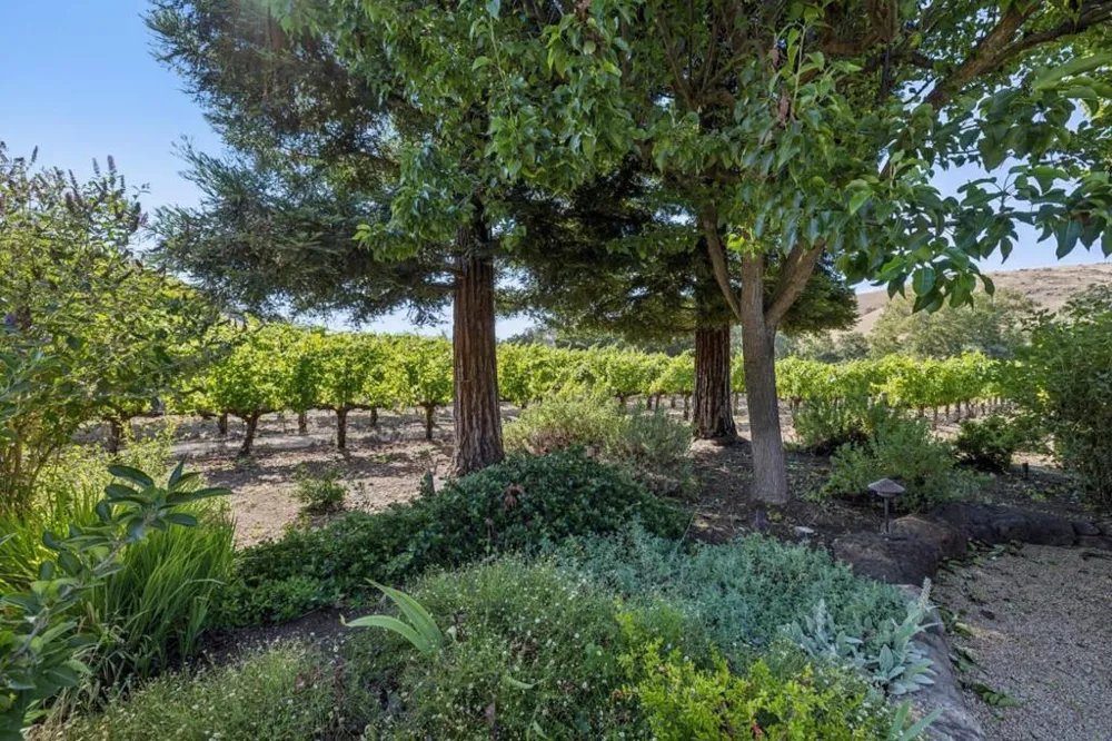 1295 Lions Peak Lane San Martin, CA 95046