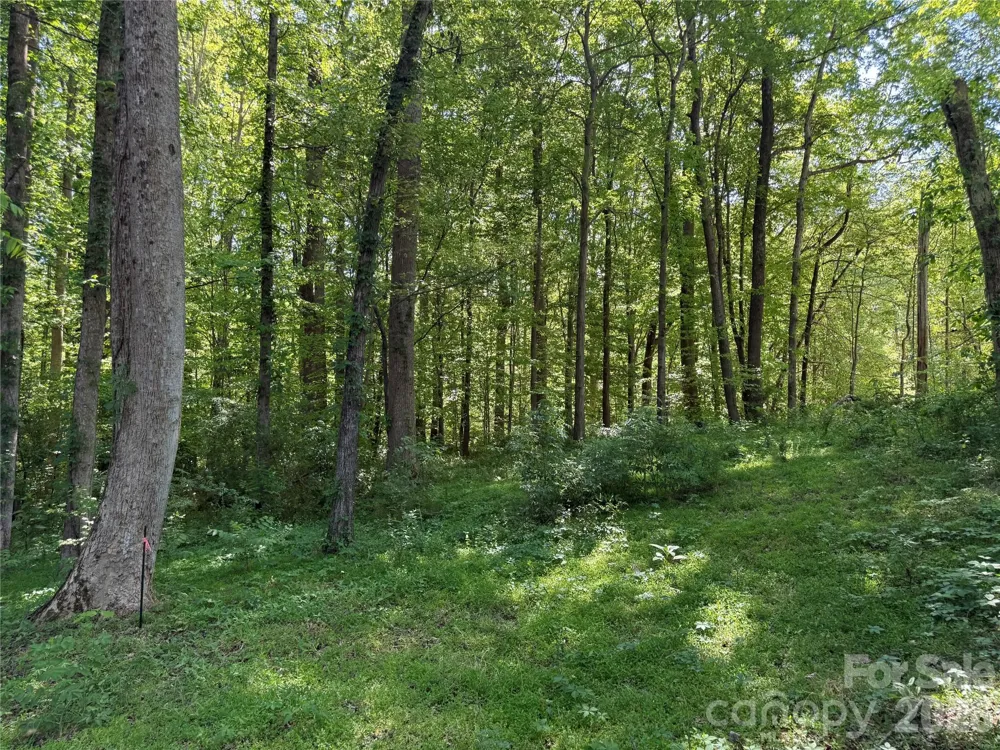 605 Shiloh Road Statesville, NC 28677