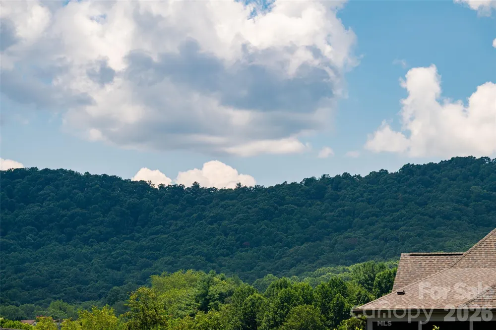 769 Daniel Circle Drive Mills River, NC 28759