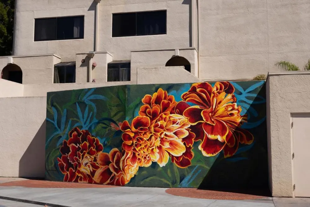 2559 Park Boulevard #M101 Palo Alto, CA 94306