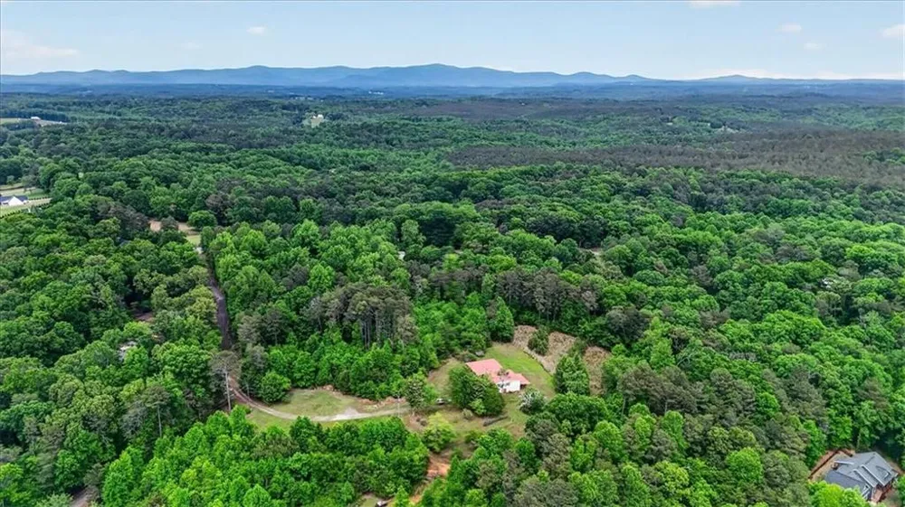 205 Upper Bethany Trail Ball Ground, GA 30107