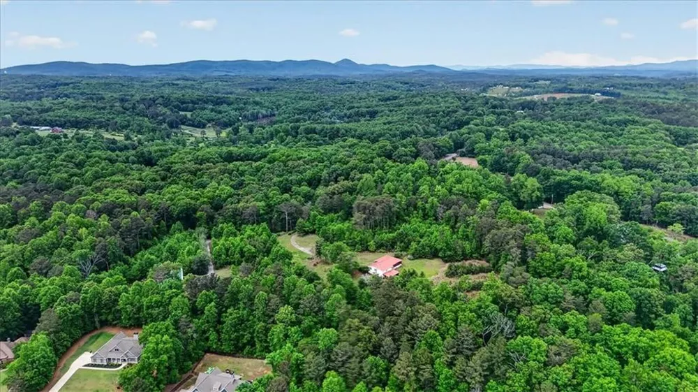 205 Upper Bethany Trail Ball Ground, GA 30107
