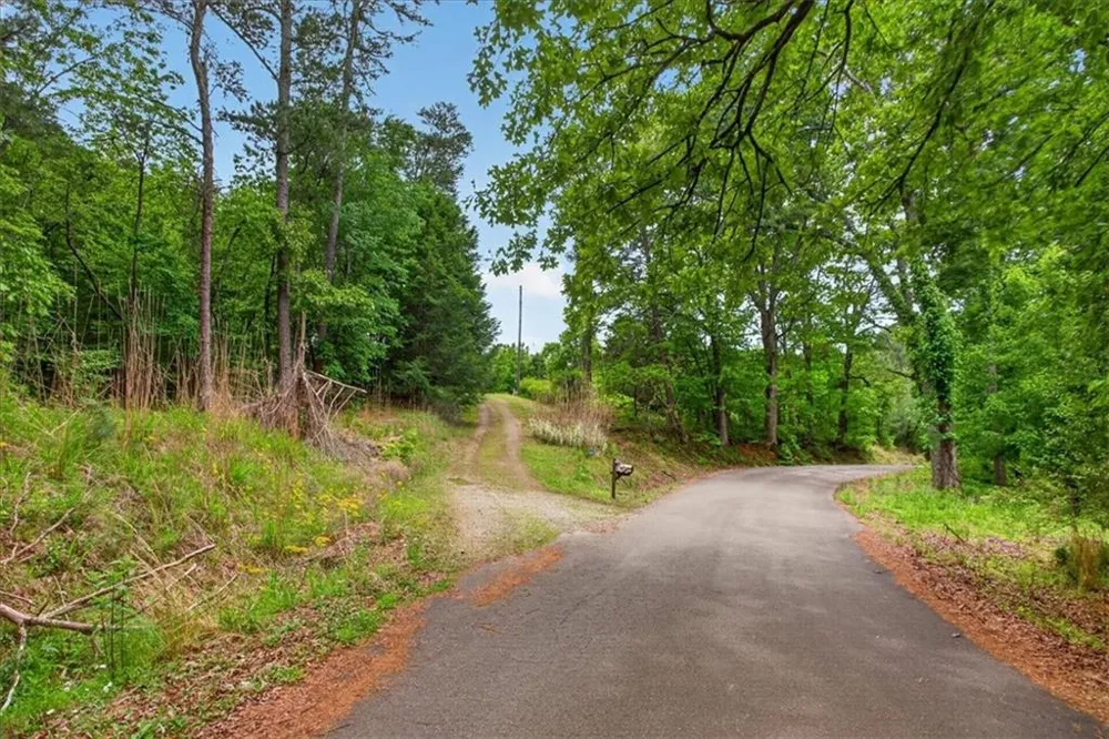 205 Upper Bethany Trail Ball Ground, GA 30107