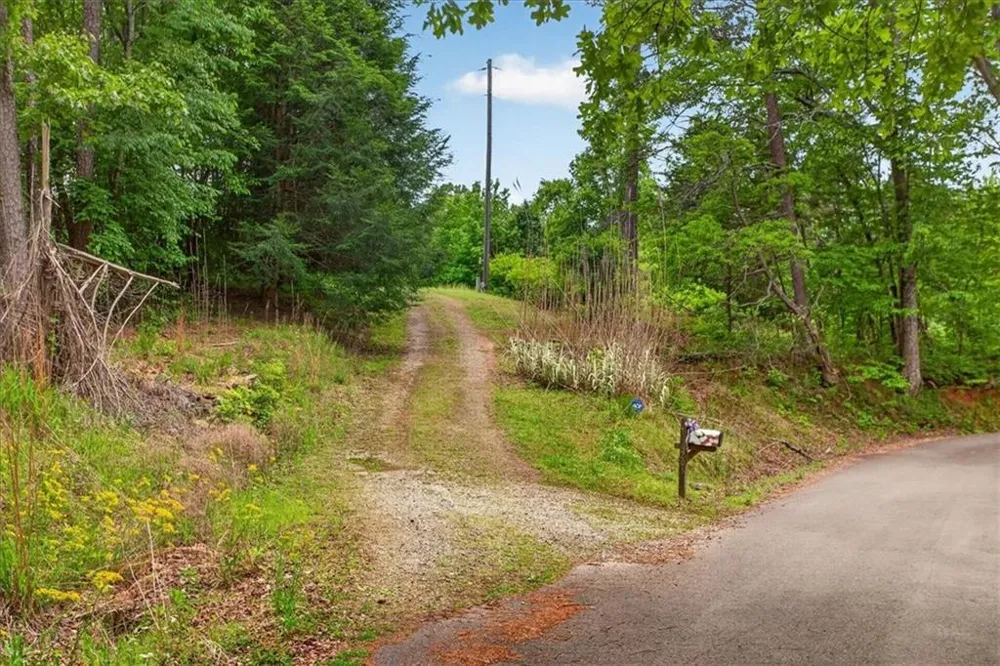 205 Upper Bethany Trail Ball Ground, GA 30107