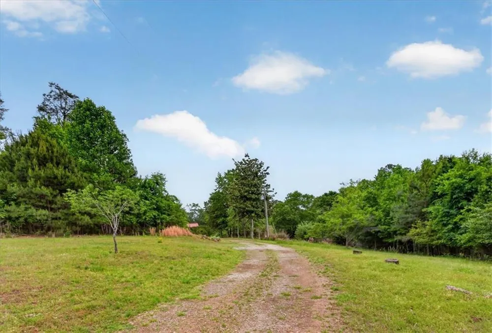 205 Upper Bethany Trail Ball Ground, GA 30107