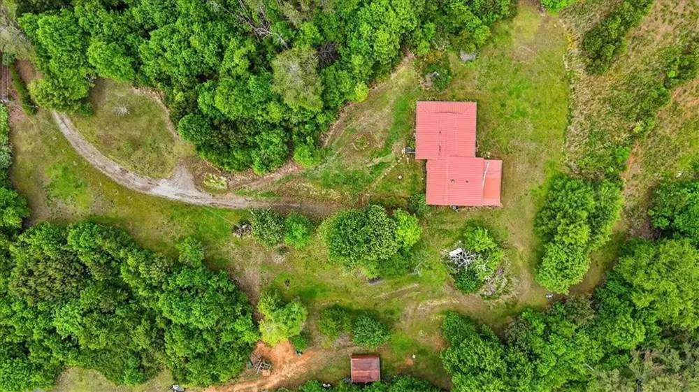 205 Upper Bethany Trail Ball Ground, GA 30107