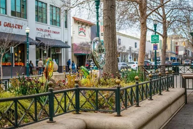 1111 Ocean Street #204 Santa Cruz, CA 95060