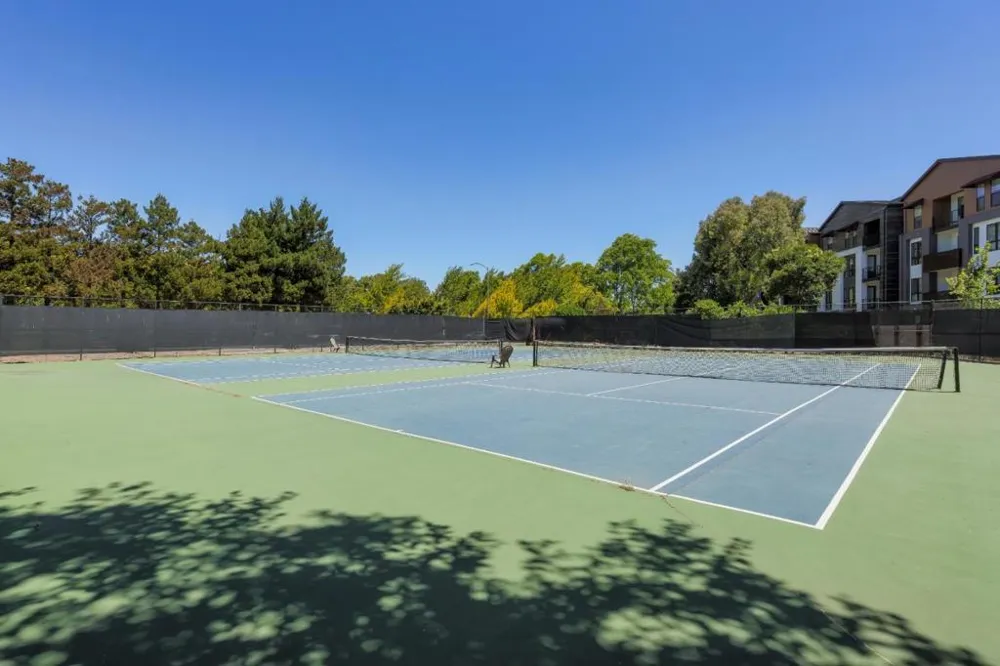 905 W Middlefield Road #918 Mountain View, CA 94043