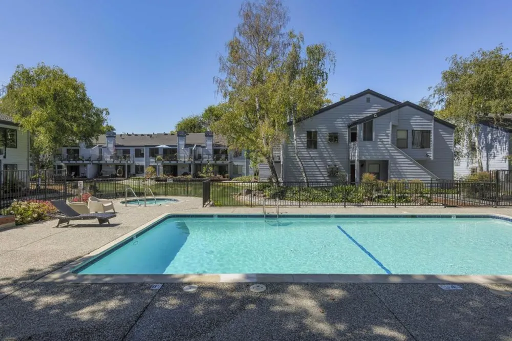 905 W Middlefield Road #918 Mountain View, CA 94043