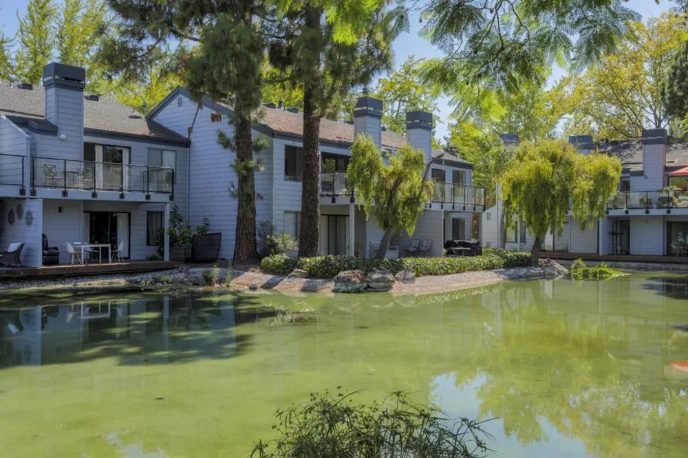 905 W Middlefield Road #918 Mountain View, CA 94043