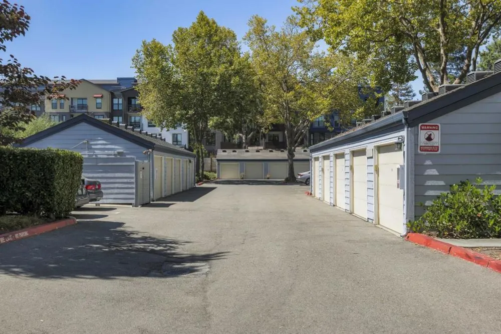 905 W Middlefield Road #918 Mountain View, CA 94043