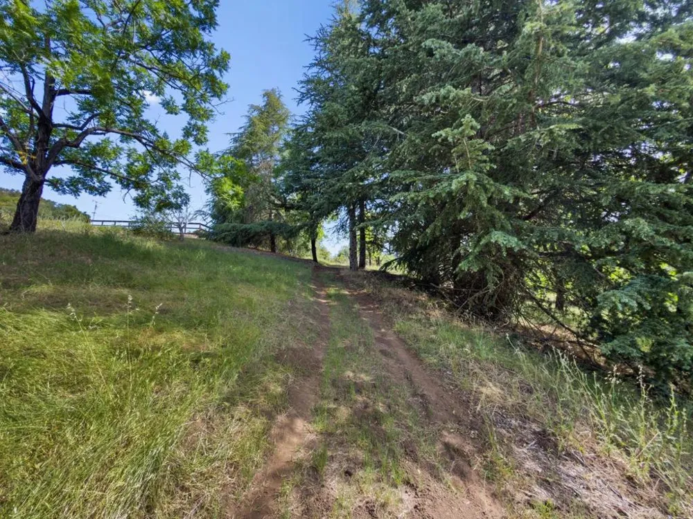 7025 Glen Haven Road Soquel, CA 95073