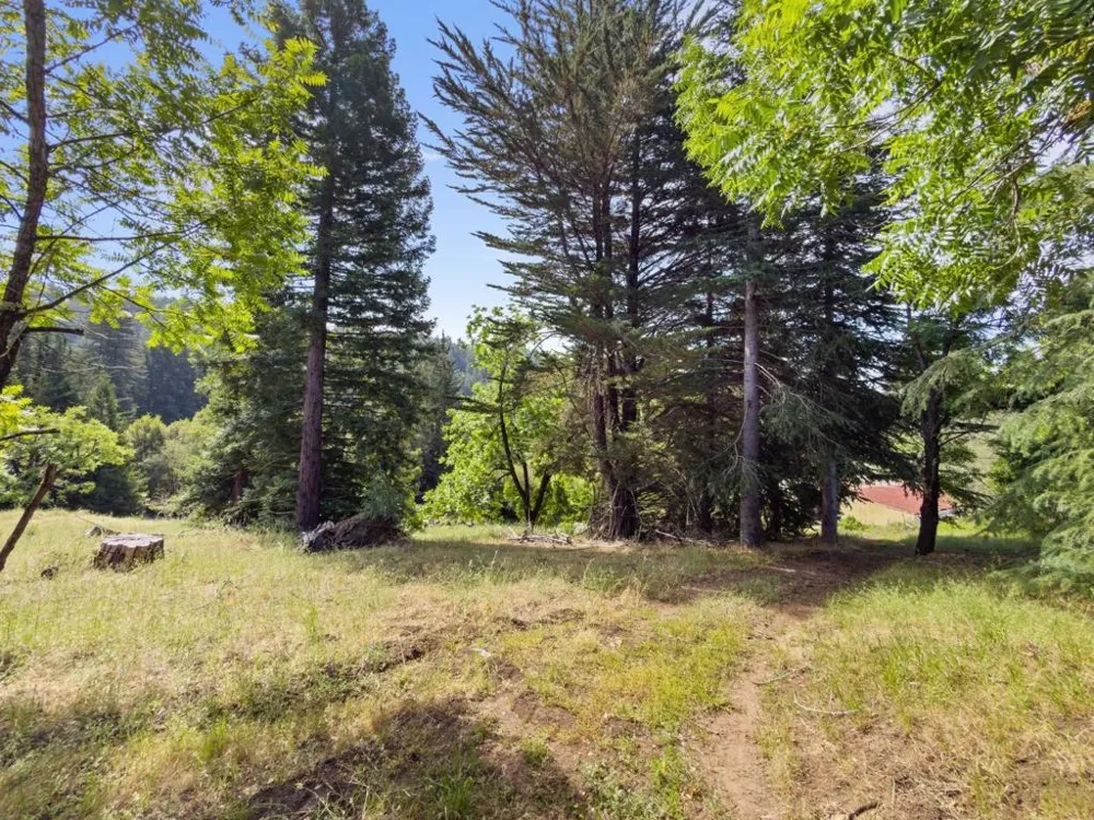 7025 Glen Haven Road Soquel, CA 95073
