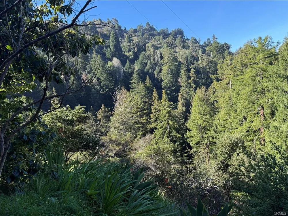 65 Garapatos Redwoods Trail Carmel, CA 93923
