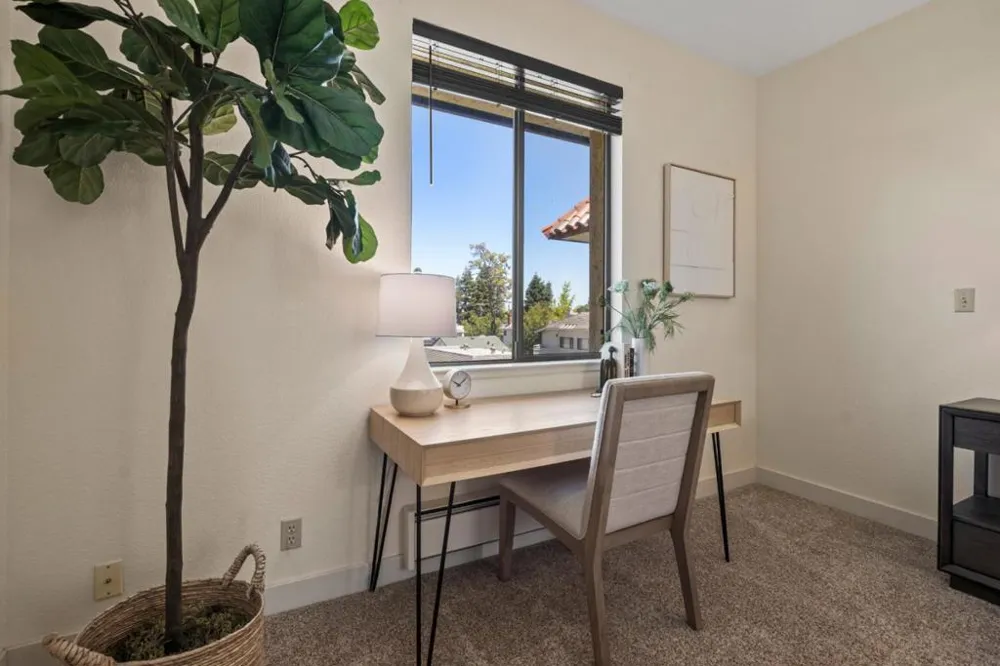 320 Elm Street #304 San Mateo, CA 94401