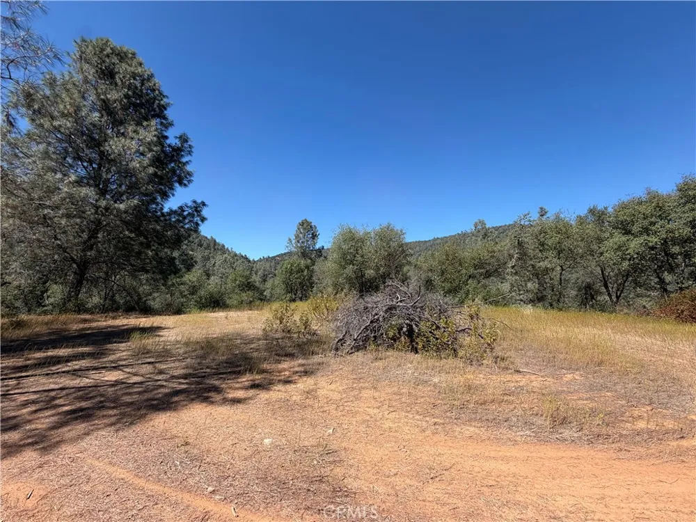 5540 Gold Creek Mariposa, CA 95338