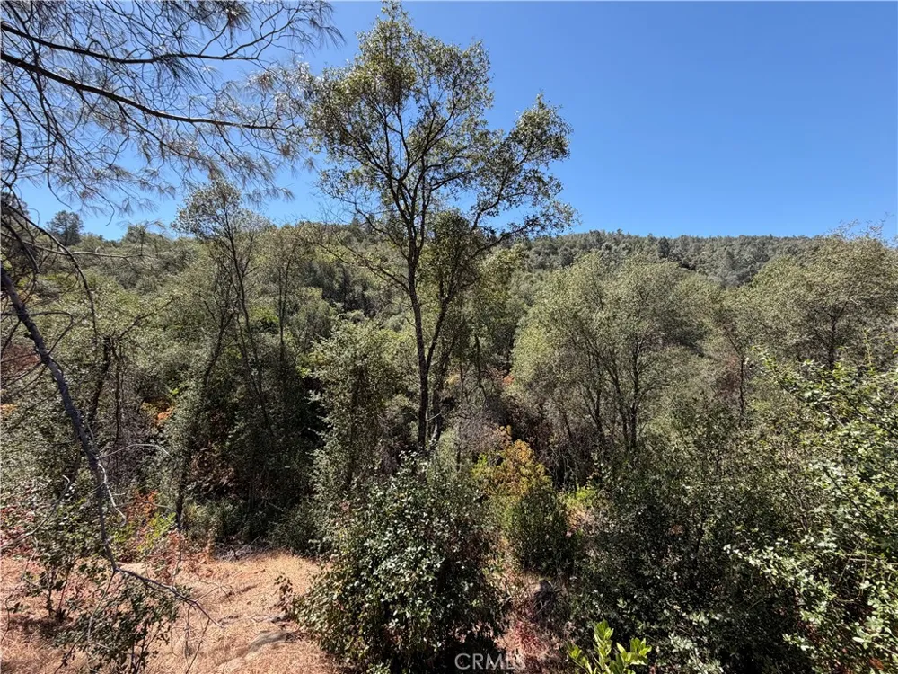 5540 Gold Creek Mariposa, CA 95338