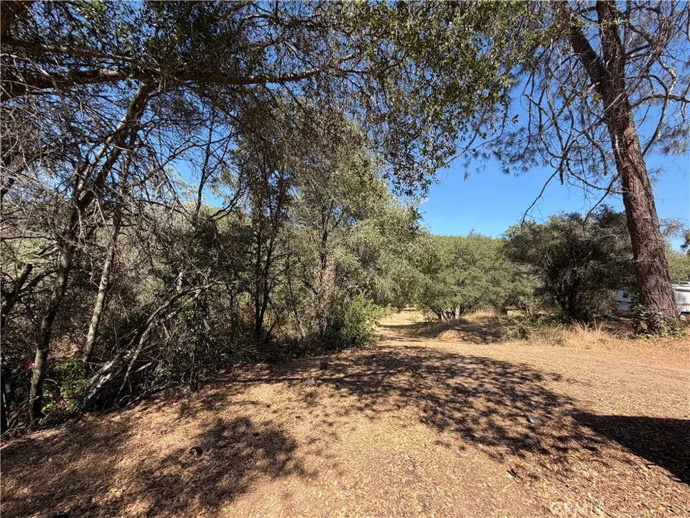 5540 Gold Creek Mariposa, CA 95338