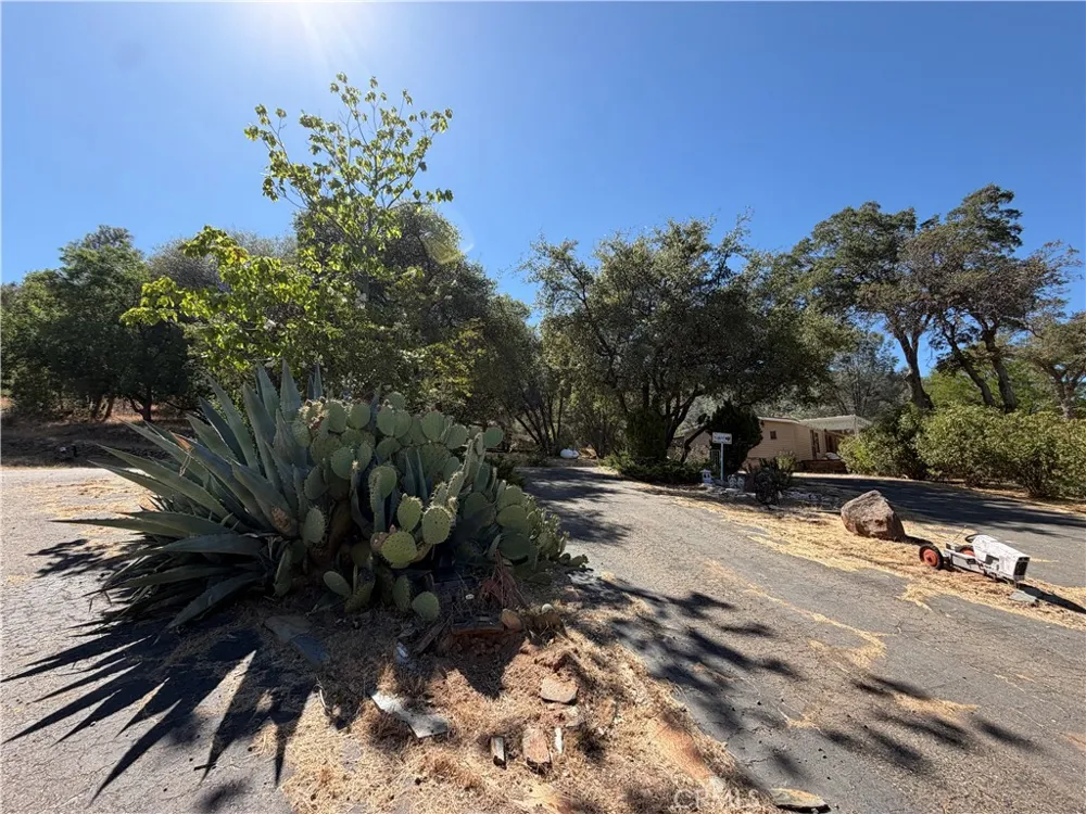 5540 Gold Creek Mariposa, CA 95338
