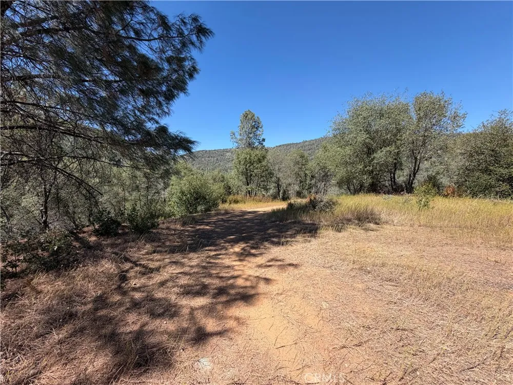 5540 Gold Creek Mariposa, CA 95338