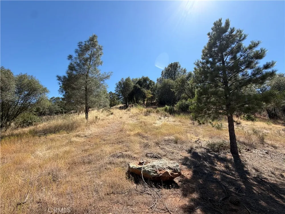 5540 Gold Creek Mariposa, CA 95338