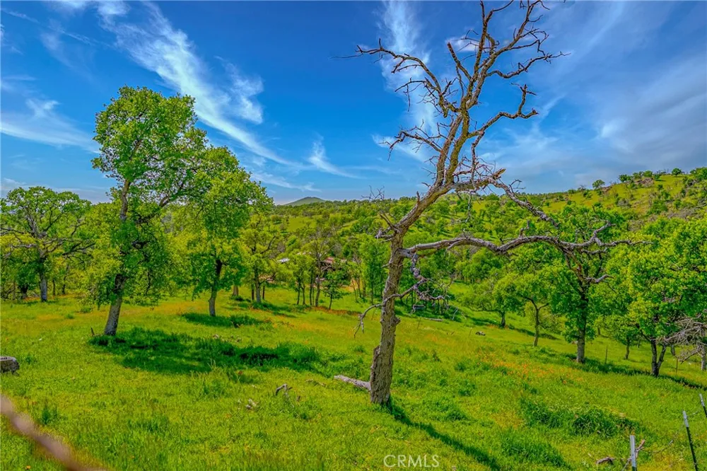 3084 Old Highway Catheys Valley, CA 95306