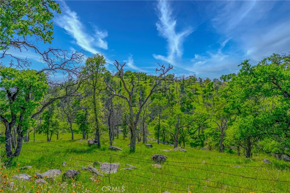 3084 Old Highway Catheys Valley, CA 95306