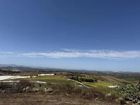 2279 Vista Grande Drive