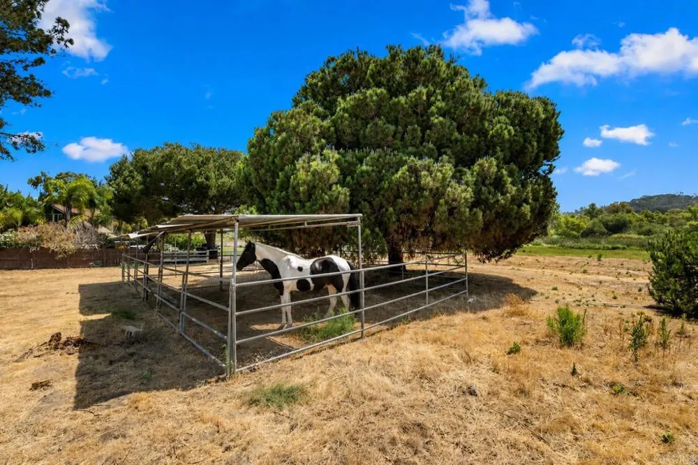 4110 Manchester Avenue Encinitas, CA 92024