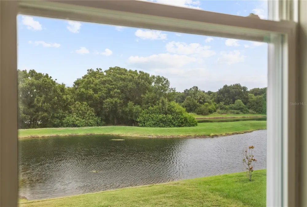 11722 WHITE WILLOW LANE Riverview, FL 33569