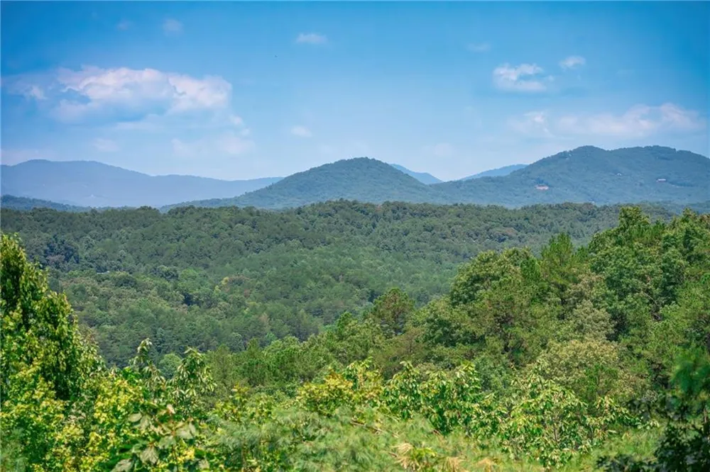 88 Down Yonder Road Morganton, GA 30560