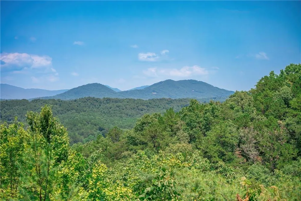 88 Down Yonder Road Morganton, GA 30560