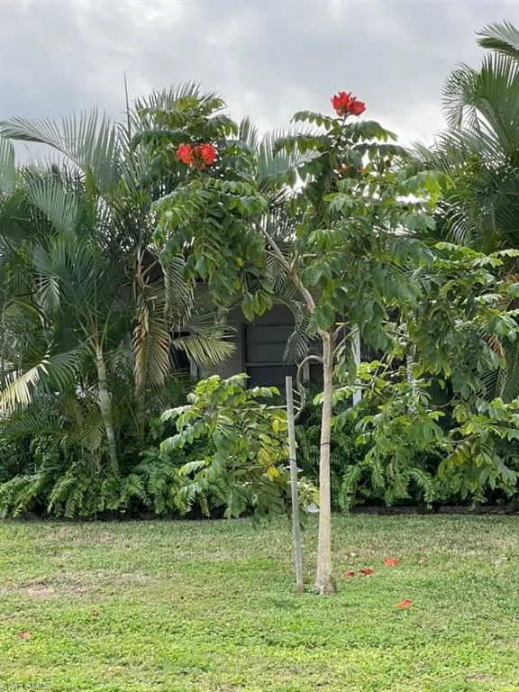 4924 Vincennes Street #1 Cape Coral, FL 33904