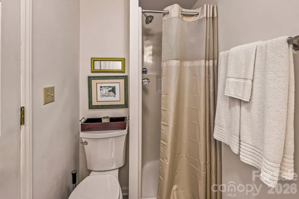 193 Downing Place Lake Lure, NC 28746