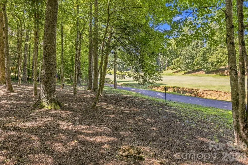 193 Downing Place Lake Lure, NC 28746