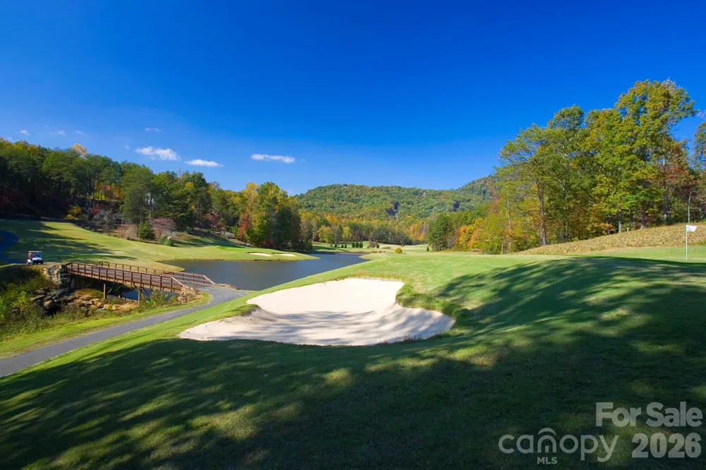 193 Downing Place Lake Lure, NC 28746
